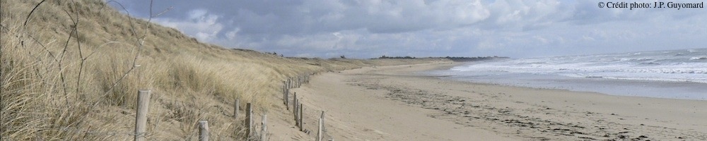 Le-Bois-Plage-en-Ré